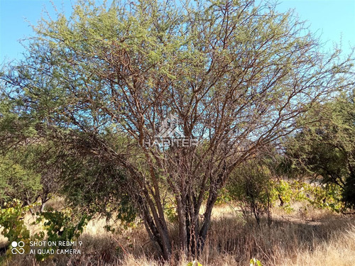 Se Vende Parcela De Agrado En Santa Rosa De Lavaderos Maule