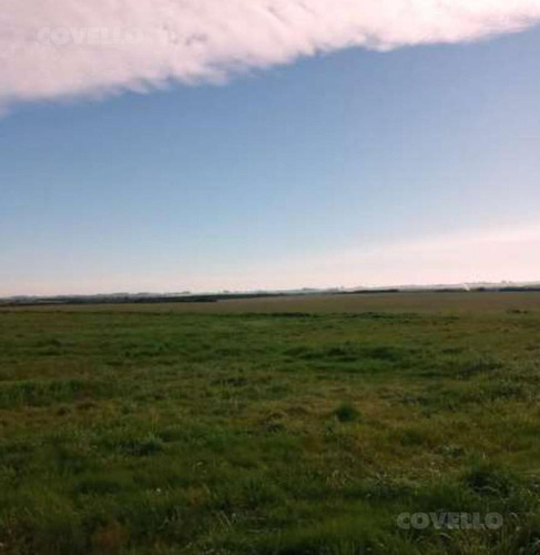 Imagen 3 de 5 de Campo - Otras