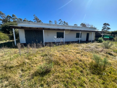 Imagen 16 de 30 de Campo 10 Has Y Media Con Casa Y Manantial Con Agua Permante. Consulte!!!!!!!!! - Zona Rural Zona Rural