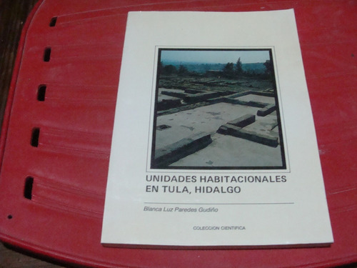 Libro Unidades Habitacionales En Tula Hidalgo , Blanca Luz P
