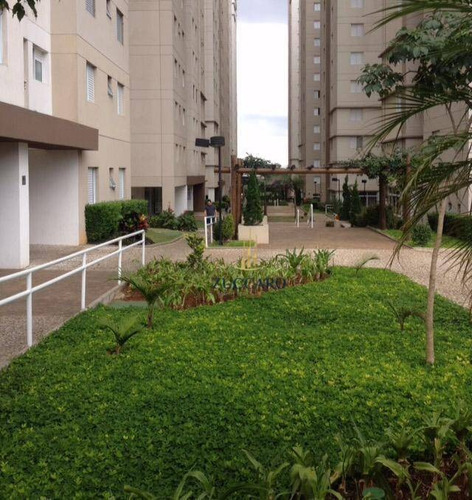 Apartamento Residencial À Venda, Ponte Grande, Guarulhos. - Ap6430