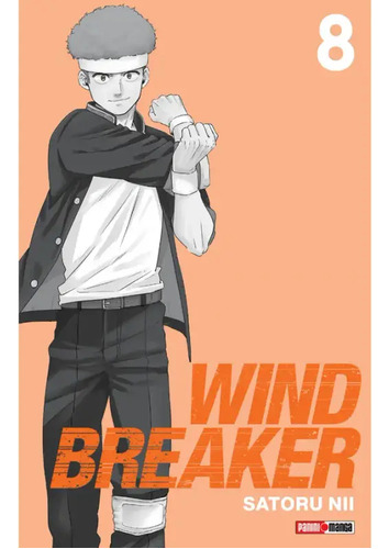 Panini Manga Wind Breaker N.8