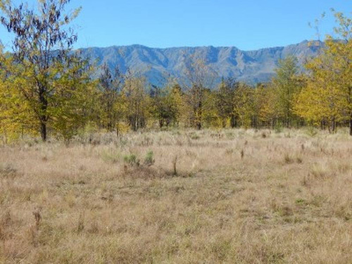 Terrenos O Lotes Venta Nono