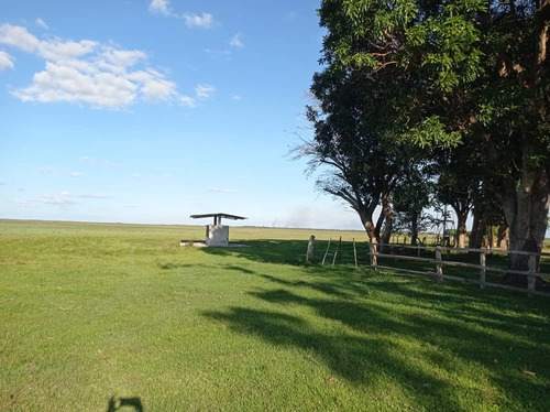 Imagen 3 de 15 de Hato En Venta En Elorza, Apure