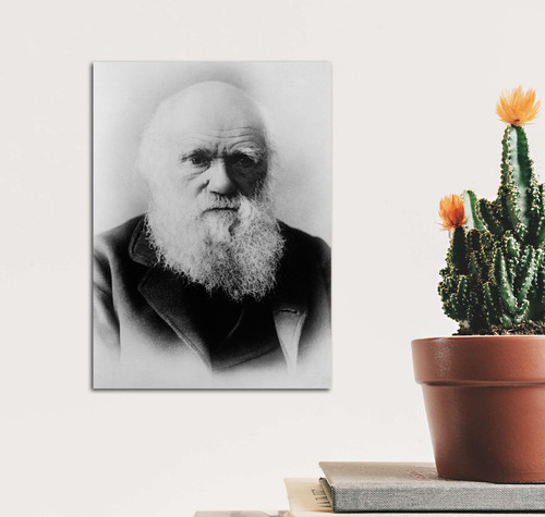 Vinilo Decorativo 20x30cm Charles Darwin Ciencia Geni