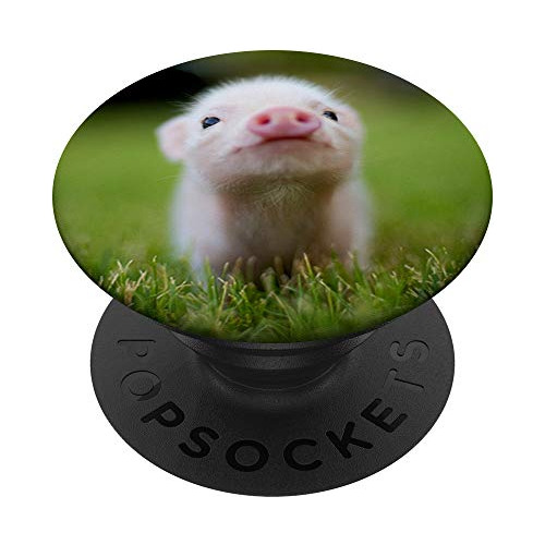 Pig De Bebé 2019 Año De La Taza Para El Diseño De La B6pke