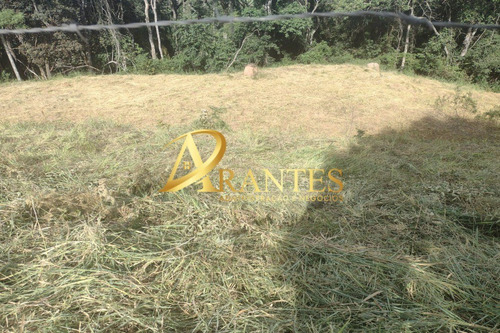 Imagem 4 de 14 de Terreno - Te00068 - 70716178