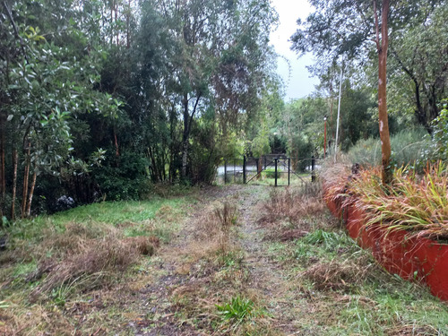 Terreno Con Bosque Nativo, Bosque De Arrayanes Y Riachuelo