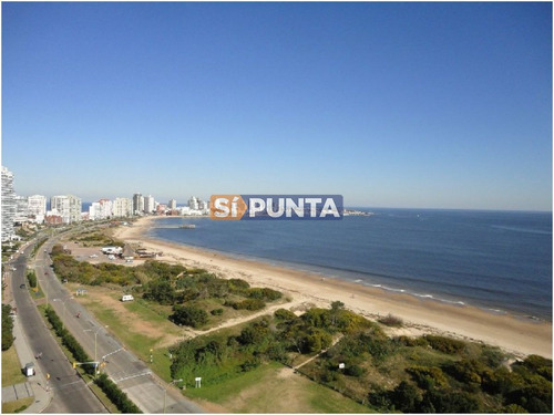 Imagen 1 de 3 de Hermosa Vista Al Mar