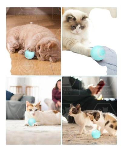 Juguete Gato Bola Interactivo Inteligente Mascota Varios