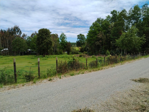Vende Terreno 6.700 M2 Cerca Lago Ranco, Pillaco, Region De