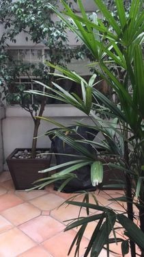 Imagen 6 de 11 de Departamento En Venta En Polanco