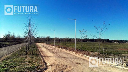 Imagen 4 de 8 de Lotes Manzana H En Venta En Oliveros Con Financiación - Barrio Villa Elena