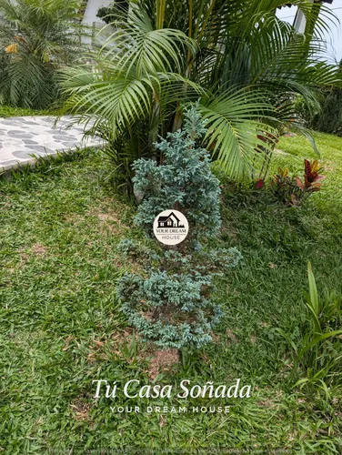 Finca En Venta En Girardota Plana