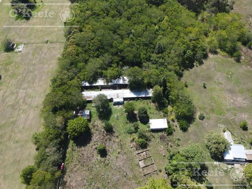 Imagen 11 de 16 de Chacra En Venta De 1.5 Has Ideal Criadero Productivo - A 500 Mts De Ruta N° 215 - Brandsen
