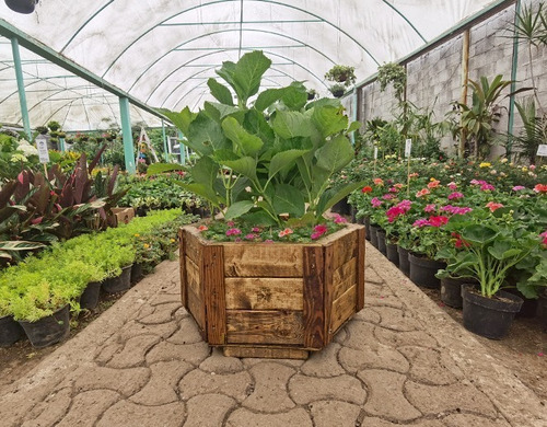 Maceta De Madera Tipo Jardinera Hexagonal