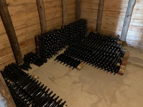 Imagen 4 de 30 de Viñedo Boutique, Totalmente Productivo, Con Casa Y Cava