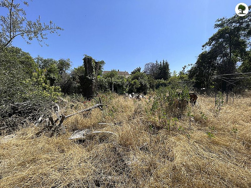 Sitio Para Proyecto Inmobiliario En La Reina