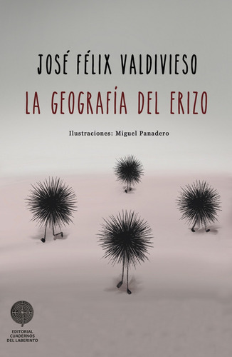 La Geografia Del Erizo