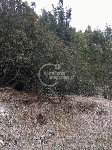 Imagen 26 de 30 de Parcela En Venta Bosques De Mantagua