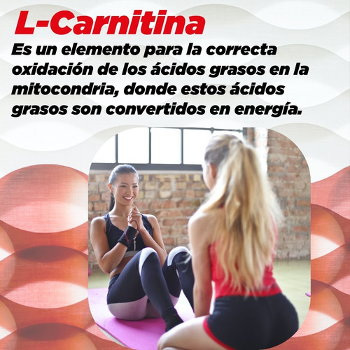 Imagen 4 de 10 de Carnitina + Cla , 60 Caps, C2 Black Muscle Goodness