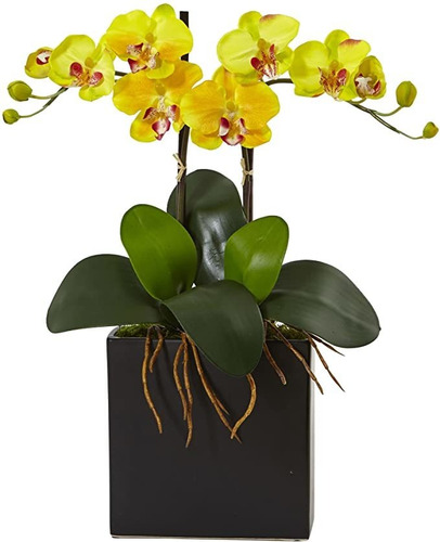 Nearly Natural 1 Mini Phalaenopsis - Orquídea De Sed