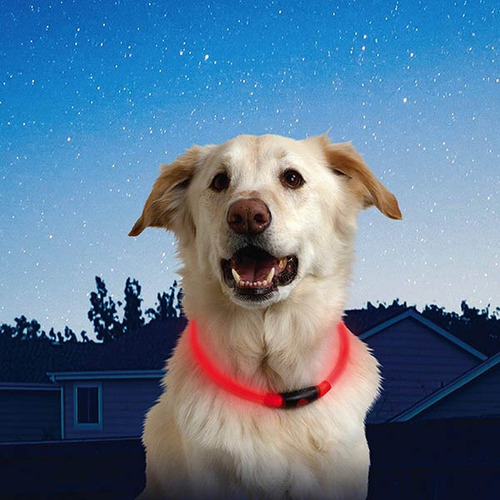 Collar Para Perros Ajustable Con Led