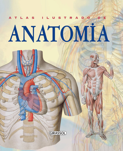 Atlas Ilustrado De Anatomia - Girassol