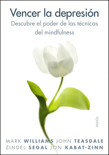 Vencer La Depresión, De Mark Williams / John Teasdale / Zindel Segal / Jon. Editorial Paidós (p), Tapa Blanda En Español, 2015