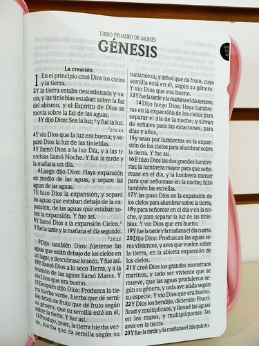 Biblia Rvr1960 Let Grande Imit Piel Rosa Claro Cierre/índice