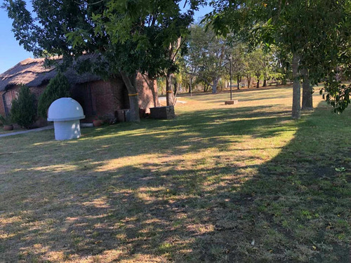 Imagen 20 de 27 de Casa Quinta En Venta. Los Naranjos. Magdalena