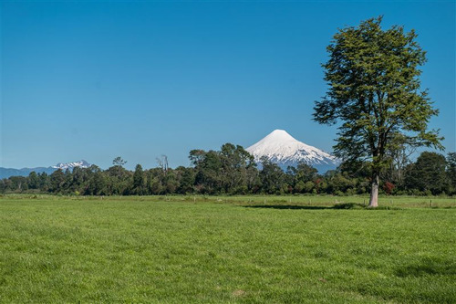 Parcela En Venta En Puerto Octay