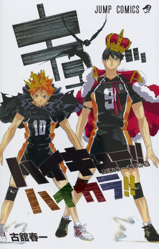 Haikyuu Libro Color Illustrations Artbook Gastovic Anime