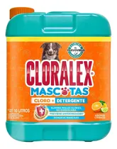 Comprar Limpiador Líquido Cloralex Cloro Mascotas 10L: Desinfectante Potente y Seguro para el Hogar con Mascotas, que Elimina Bacterias, Olores y Manchas para un Ambiente Saludable y Sin Riesgos