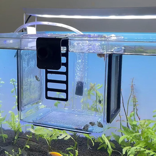Para Caja De Aislamiento De Cría De Peces Incubadora De /