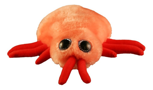 Peluche Chinche De Cama Cimex Lectularius Giantmicrobes