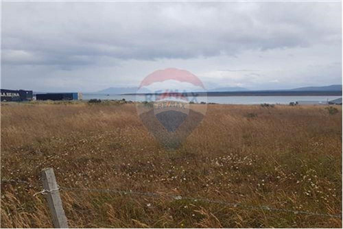 Terreno Panorámico En Puerto Natales: 5000 M²