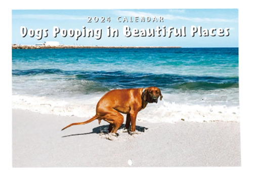 Calendario De Pared Con Diseño De Perro, Divertido, Para 202