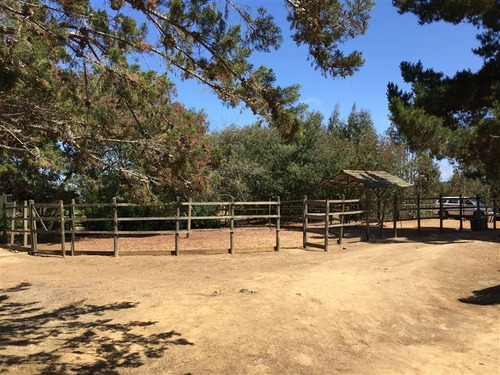 Imagen 19 de 24 de Agrícola En Venta En Algarrobo