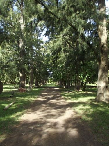 Imagen 16 de 30 de La Alborada Club De Campo - Jeppener - Lote De 1.000 M2