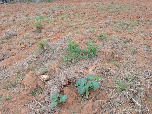 Terreno Com 2.068 M2