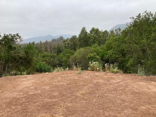 Se Vende Terreno 3.800 M2 Con Cabaña 72 M2 Uf 4.650 Quintero