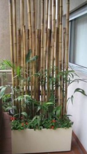 Bambú, Decoracion Y Construcción