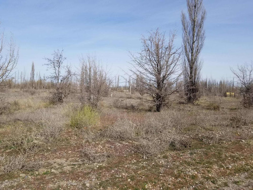 Imagen 5 de 11 de Terreno En Venta Barrio Rincón Lindo Plottier, Nqn