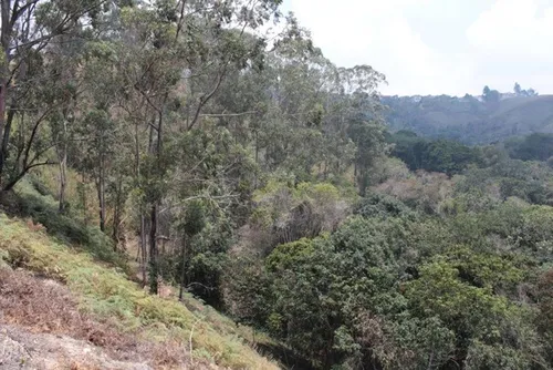 Vendo Terreno En Carrizal
