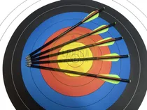 Comprar Dardos Para Ballesta Fibra De Vidrio Flechas Pack 20 Unidade