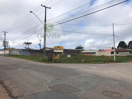Imagem 3 de 16 de Terreno A Venda No Bairro Borda Do Campo Em São José Dos - 30084-1