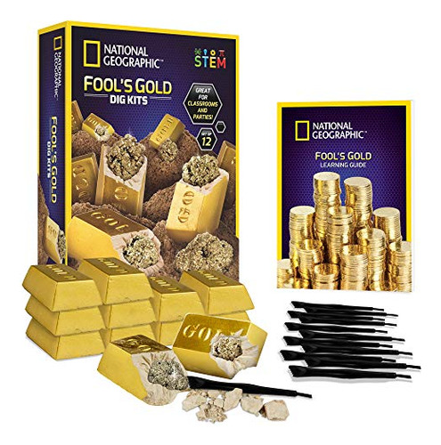 Kit De Excavación De Oro De Los Tontos De National Geographi