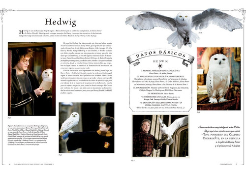 Imagen 4 de 6 de Harry Potter: Los Archivos De Las Películas Vol. 5.