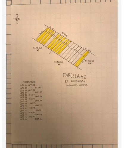 Terreno Industrial En Venta Ejido Hormiguero